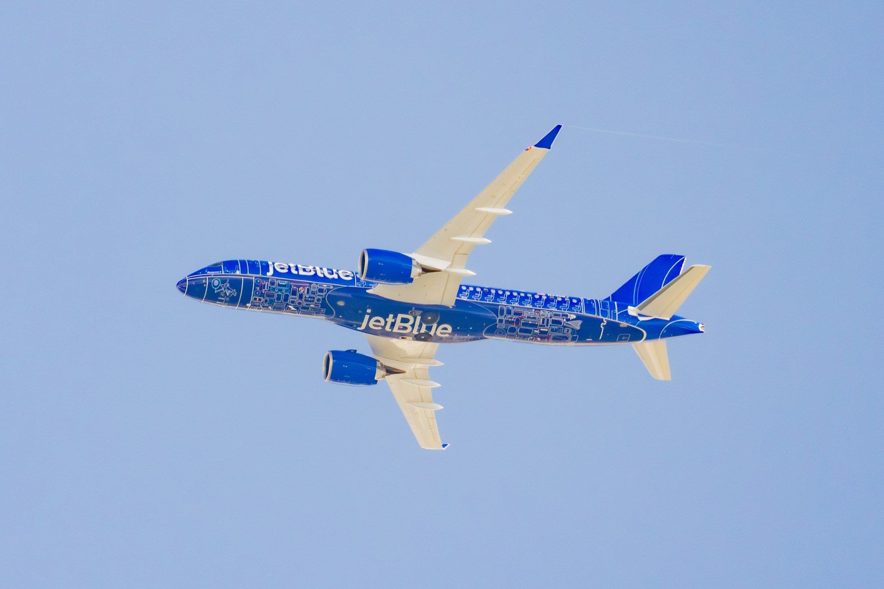 Daily photo: 281A3117