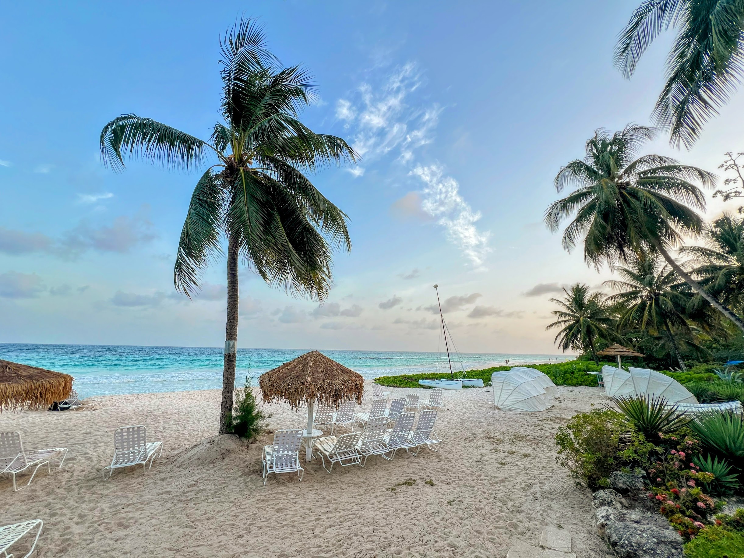 A serene and inviting beach scene with palm trees, chairs, and a beautiful ocean view.