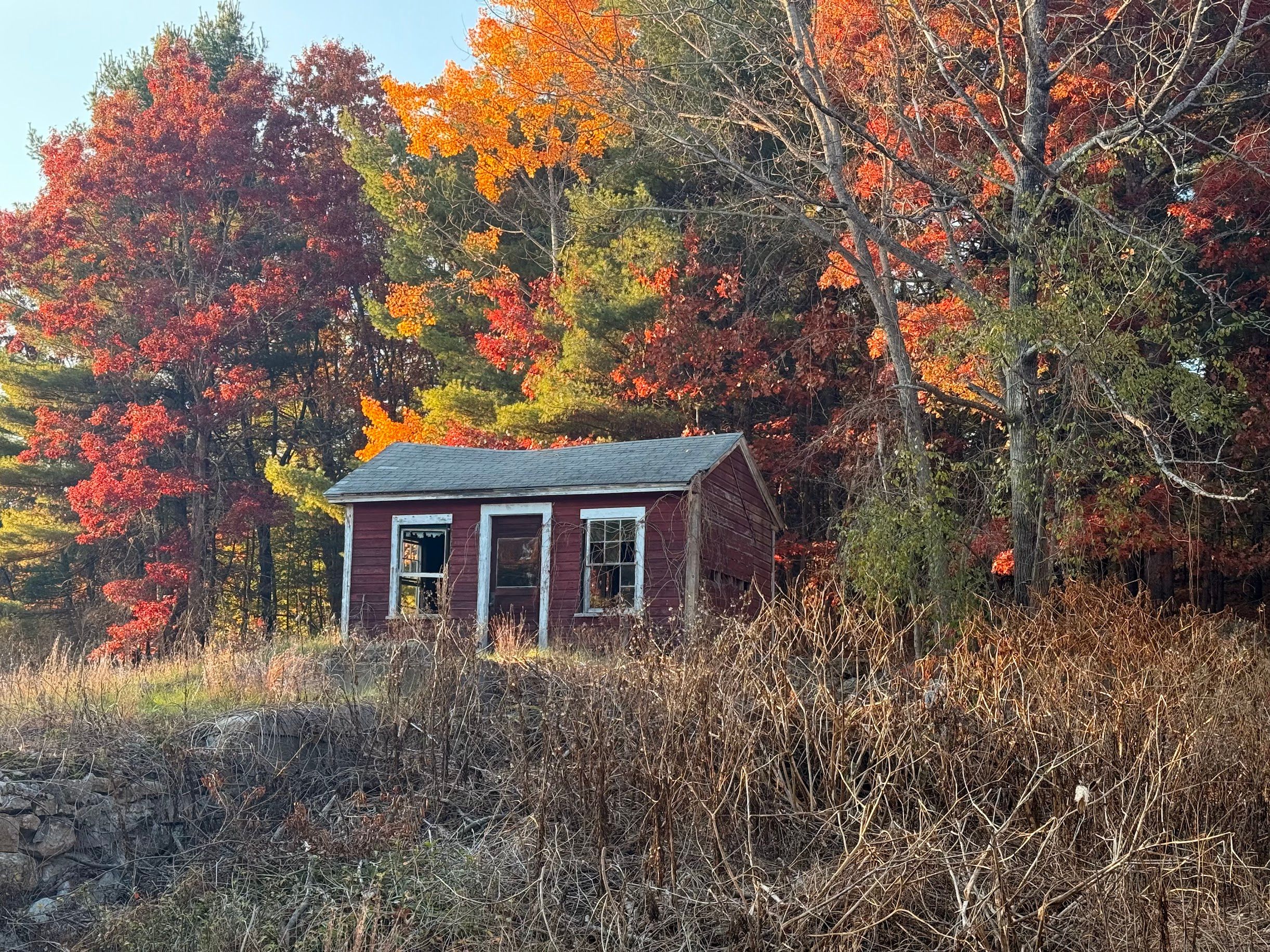 A small, red shed sits in a field surrounded by trees with vibrant fall foliage.